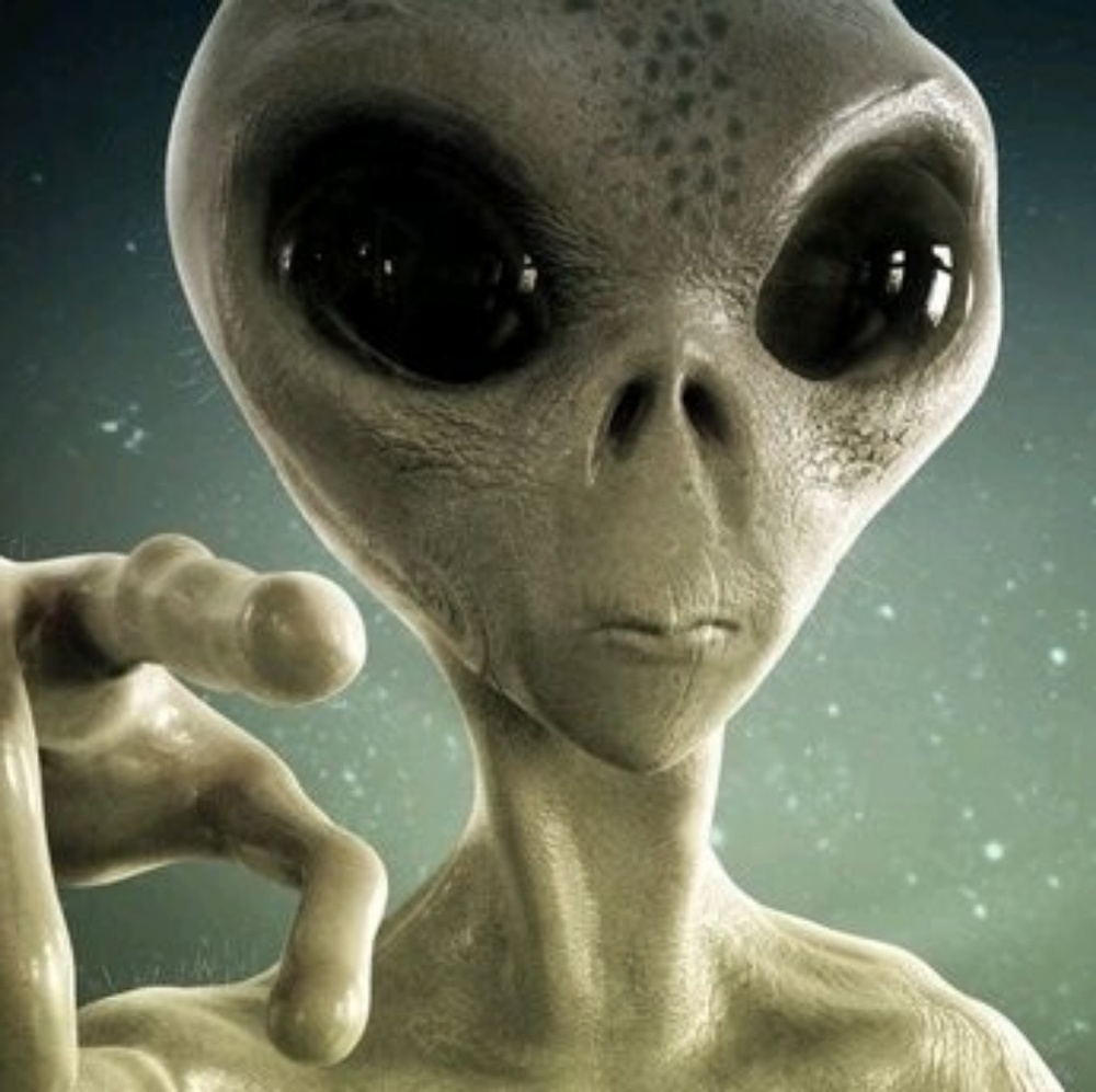 Meet your Posher, Ronnie